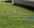 GGR - lightweight to heavy-duty plastic grass reinforcement mesh range 5