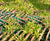 GGR - lightweight to heavy-duty plastic grass reinforcement mesh range 1