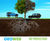 Geoweb® - tree root protection system 2