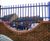 Barbican® - square pale vertical bar fencing  6