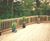 Jacksons standard timber decking boards 9