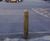Jakure® treated timber bollards - square/machine rounded 5