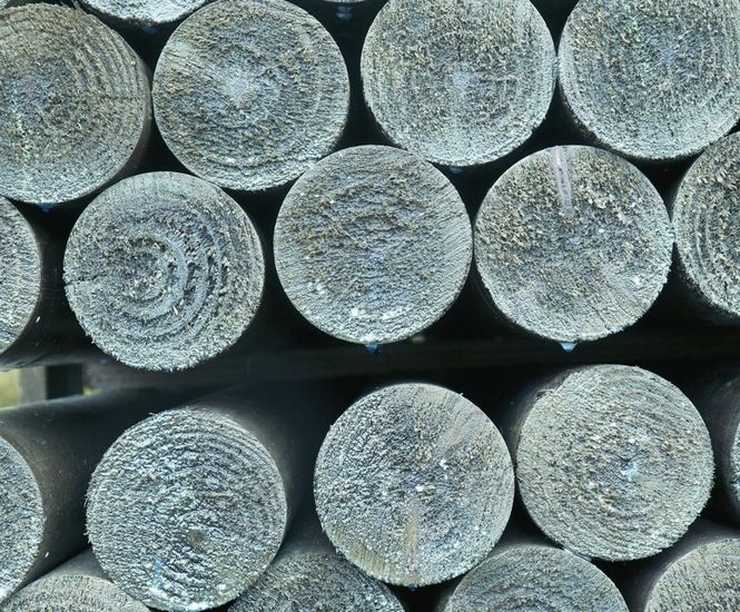 CPD - Specifying treated timber for buildings and outdoor applications
