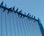 Rota Spike® rotating fencing topping 2