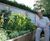 Acoustic fencing reduces noise impact on wildlife garden 2
