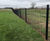 EuroGuard® Regular mesh fencing secures school perimeter 0
