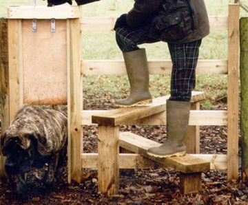 Jakcured timber stile set with dog gate