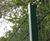 EuroGuard® Flatform - welded mesh fencing 1