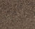Kellen Sferio shot-blasted concrete paving 0