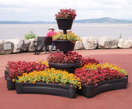 Petal plastic self-watering planter (PP-0P)