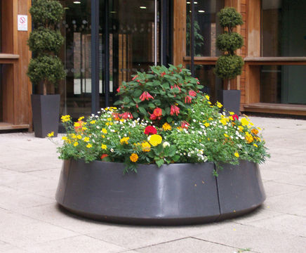 Quarto self-watering plastic planter (QRT-0P)