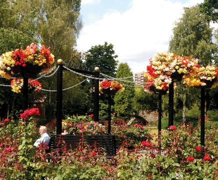 Up-the-Pole self-watering plant basket