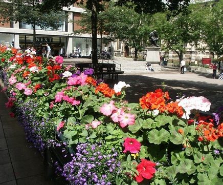 Planters for floral walkways and barriers