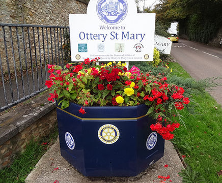 It’s official – Britain in Bloom is good for your health