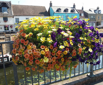 How self-watering planters can help all year round