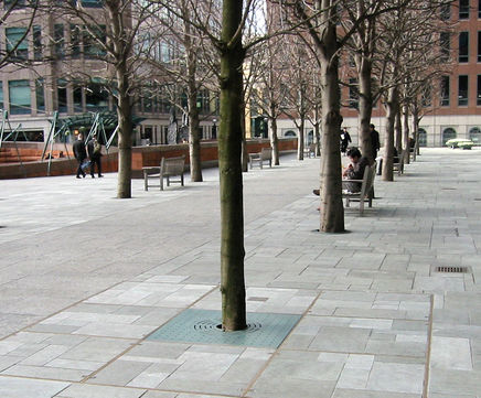 Tree pit access covers