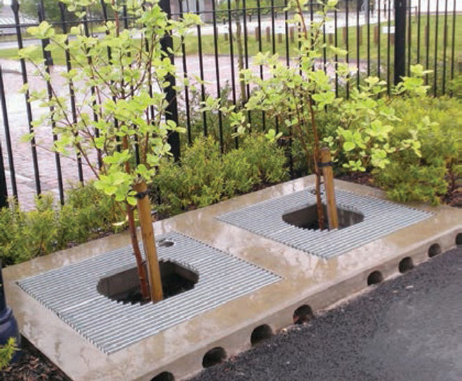 Barry gets ‘quality’ treatment with Hydro Biofilter™