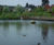 SuDS scheme, housing development, Hampshire 1