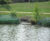 SuDS scheme, housing development, Hampshire 2