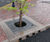 Hydro Biofilter™ bioretention system 8