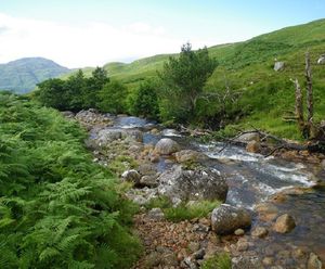 Catchment-scale, natural flood management projects