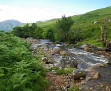 Catchment-scale, natural flood management projects
