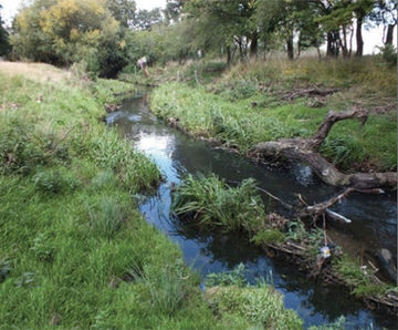 Protecting waterways and wildlife at Richmond Park