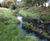 Protecting waterways and wildlife at Richmond Park 0