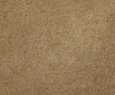 Premium washed and graded play sand