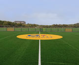 Artificial grass sports surfacing for community facility - on this page
