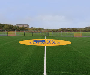 Artificial grass sports surfacing for community facility