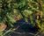 Covertex™ weed control ground cover fabric 5