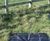 Covertex™ weed control ground cover fabric 2
