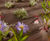 Ecotex MulchMat™ biodegradable weed control fabric 2