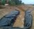 Root Barrier C3 - reinforced root and invasive weed barrier membrane 6