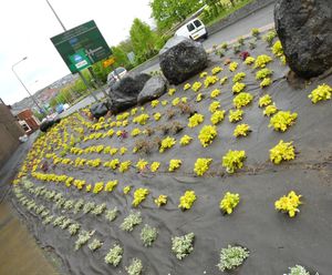 Ecotex MulchMat™ biodegradable weed control fabric