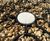Hy-Pave Dura - porous cellular pavers for grass / gravel 5