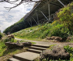 GrassMat Supreme - biodegradable seeded mat for erosion control