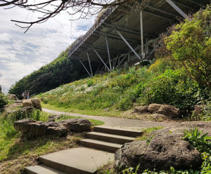 GrassMat Supreme - biodegradable seeded mat for erosion control