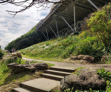 GrassMat Supreme - biodegradable seeded mat for erosion control