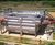 PCMF tertiary filtration installed at Rayleigh 1