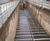 IFAS & FBDA for Northumbrian Water 0