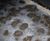Biological filter media - Severn Trent wastewater plant 2