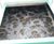 Biological filter media - Severn Trent wastewater plant 3