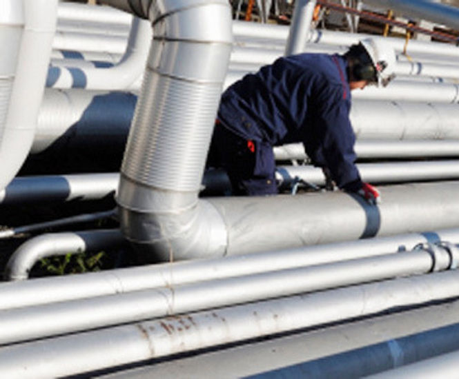Positive material identification services
