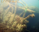 LYYN camera image and visibility enhancement technology - on this page