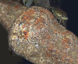 Inspection of subsea crossings for Scottish Water - on this page
