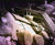 Power station optical gas imaging using GFx320 camera 0