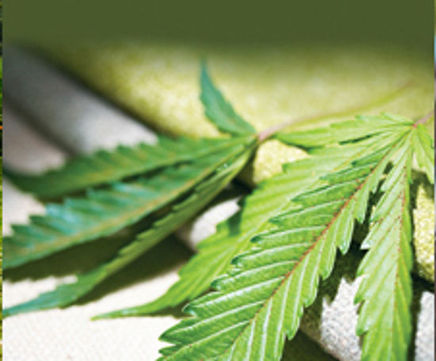 Hemp fabric accredited into Material ConneXion’s library