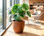 Bradley - fibreglass indoor and outdoor planter for modern spaces 3